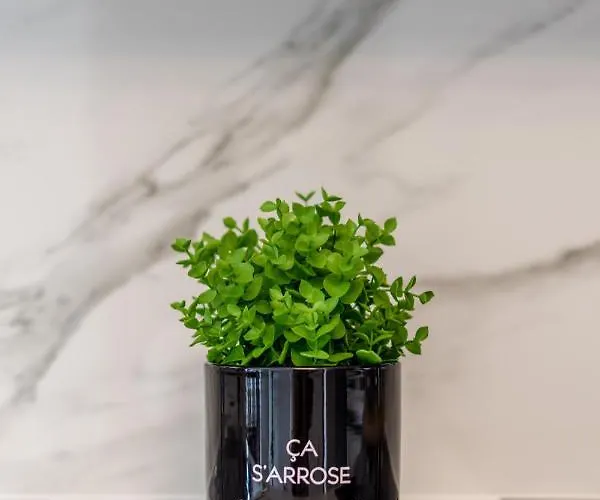 Lejlighed Tulip Court Penthouse Brand New-2 Min From The Sea-central Bugibba San Pawl il-Baħar